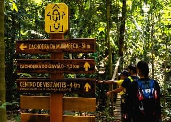 Turismo de natureza: estudo aponta retorno de R$ 15,60 para cada real investido em unidades de conservação