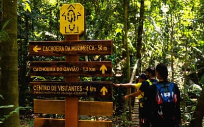 Turismo de natureza: estudo aponta retorno de R$ 15,60 para cada real investido em unidades de conservação Turismo de natureza: estudo aponta retorno de R$ 15,60 para cada real investido em unidades de conservação