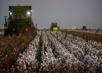 Câmara aprova reforma da política agrícola para revitalizar Seguro Rural