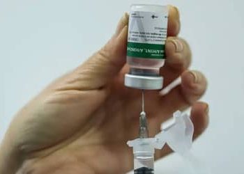 InfoGripe alerta para aumento das internações por VSR e influenza A e B