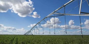 Parlamentares da região Sul defendem a ampliação do Seguro Rural como ferramenta de incentivo à produção de alimentos Parlamentares da região Sul defendem a ampliação do Seguro Rural como ferramenta de incentivo à produção de alimentos