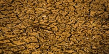 Bancada do Agro analisa contraproposta do governo sobre dívidas rurais Bancada do Agro analisa contraproposta do governo sobre dívidas rurais