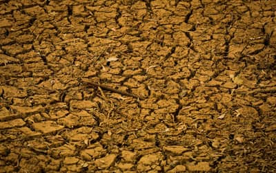 Bancada do Agro analisa contraproposta do governo sobre dívidas rurais Bancada do Agro analisa contraproposta do governo sobre dívidas rurais