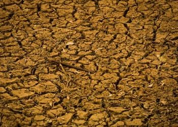 Bancada do Agro analisa contraproposta do governo sobre dívidas rurais