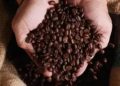 Café hoje:confira as cotações para esta quarta-feira (8)