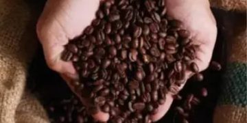 Café hoje:confira as cotações para esta quarta-feira (8)