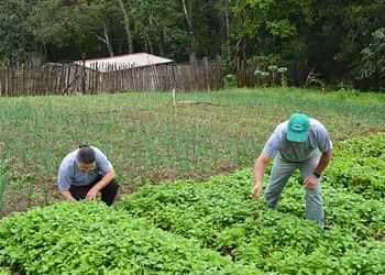 Desenrola Rural no Banco da Amazônia: agricultores familiares podem renegociar dívidas com descontos de até 80%
