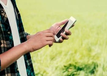 Expansão do 4G no campo: Piauí soma mais de 50 localidades conectadas