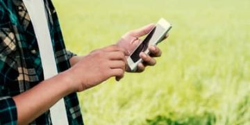 Expansão do 4G no campo: Piauí soma mais de 50 localidades conectadas Expansão do 4G no campo: Piauí soma mais de 50 localidades conectadas