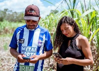 Expansão do 4G no campo: Rio Grande do Norte soma mais de 170 localidades conectadas