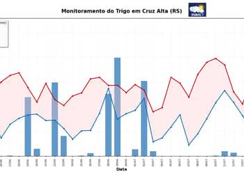 INMET emite alerta fitossanitário para lavouras de trigo no Sul após aumento das chuvas