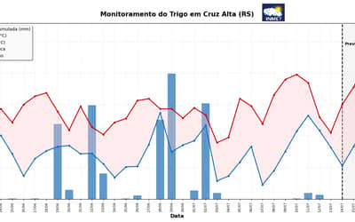 INMET emite alerta fitossanitário para lavouras de trigo no Sul após aumento das chuvas INMET emite alerta fitossanitário para lavouras de trigo no Sul após aumento das chuvas