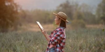Nordeste lidera expansão do 4G no campo; Ceará soma mais de 470 localidades conectadas Nordeste lidera expansão do 4G no campo; Ceará soma mais de 470 localidades conectadas