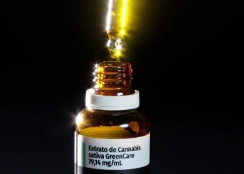 Autorizações para importação de cannabis medicinal aumentam 29% em 2026