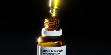 Autorizações para importação de cannabis medicinal aumentam 29% em 2026 Autorizações para importação de cannabis medicinal aumentam 29% em 2026