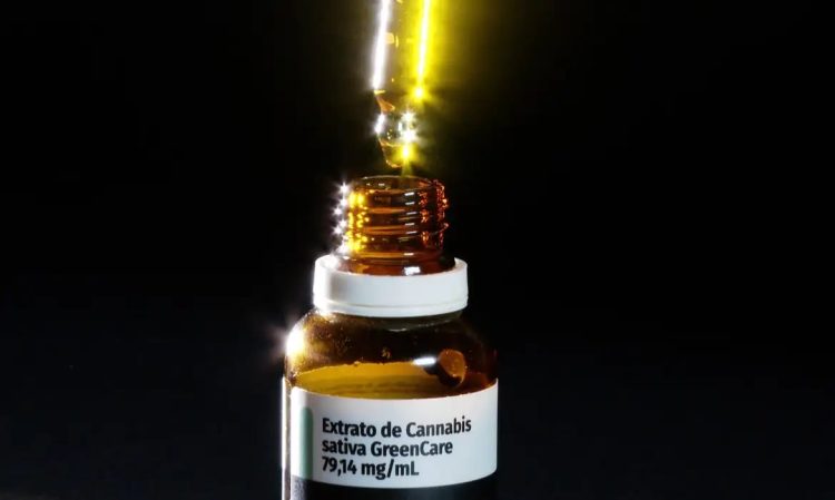 Autorizações para importação de cannabis medicinal aumentam 29% em 2026 Autorizações para importação de cannabis medicinal aumentam 29% em 2026