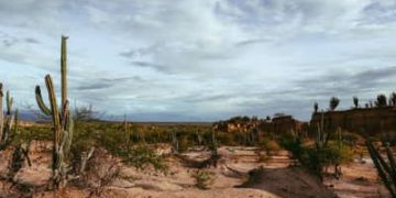 Brasil apresenta na COP17 ações de combate à desertificação e recuperação de áreas degradadas