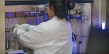 Inova Talentos oferece 312 bolsas de até R$ 12 mil para pesquisadores Inova Talentos oferece 312 bolsas de até R$ 12 mil para pesquisadores