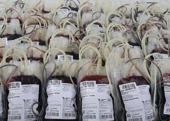 Mar Vermelho? Novas regras para doadores de sangue exigem adaptações de municípios