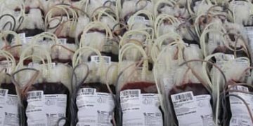 Mar Vermelho? Novas regras para doadores de sangue exigem adaptações de municípios