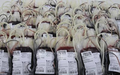 Mar Vermelho? Novas regras para doadores de sangue exigem adaptações de municípios Mar Vermelho? Novas regras para doadores de sangue exigem adaptações de municípios