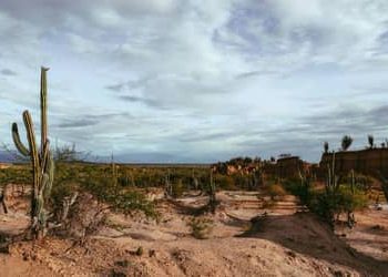 Mudanças climáticas podem levar Brasil a ter 12 dias de racionamento de água por ano até 2050
