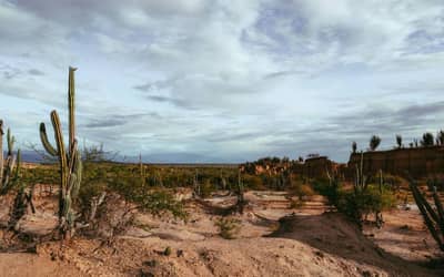 Mudanças climáticas podem levar Brasil a ter 12 dias de racionamento de água por ano até 2050 Mudanças climáticas podem levar Brasil a ter 12 dias de racionamento de água por ano até 2050