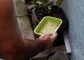 Dengue: São Paulo registra mais de 58 mil casos de dengue desde o início de 2026