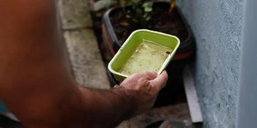 Dengue: São Paulo registra mais de 58 mil casos de dengue desde o início de 2026