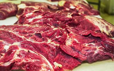 Goiás tem prejuízo de US$ 16,8 milhões por mês com restrição da UE à carne brasileira Goiás tem prejuízo de US$ 16,8 milhões por mês com restrição da UE à carne brasileira