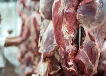UE suspende importações de carnes do Brasil e setor busca alternativas