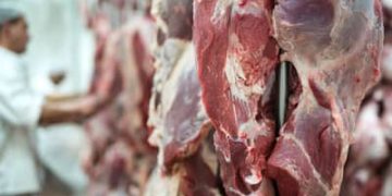 UE suspende importações de carnes do Brasil e setor busca alternativas UE suspende importações de carnes do Brasil e setor busca alternativas