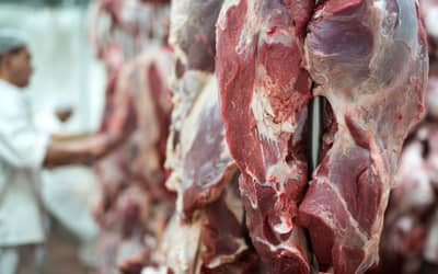 UE suspende importações de carnes do Brasil e setor busca alternativas UE suspende importações de carnes do Brasil e setor busca alternativas