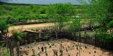 El Niño: agro do Nordeste deve priorizar conservação do solo, uso eficiente da água e formação de reservas El Niño: agro do Nordeste deve priorizar conservação do solo, uso eficiente da água e formação de reservas