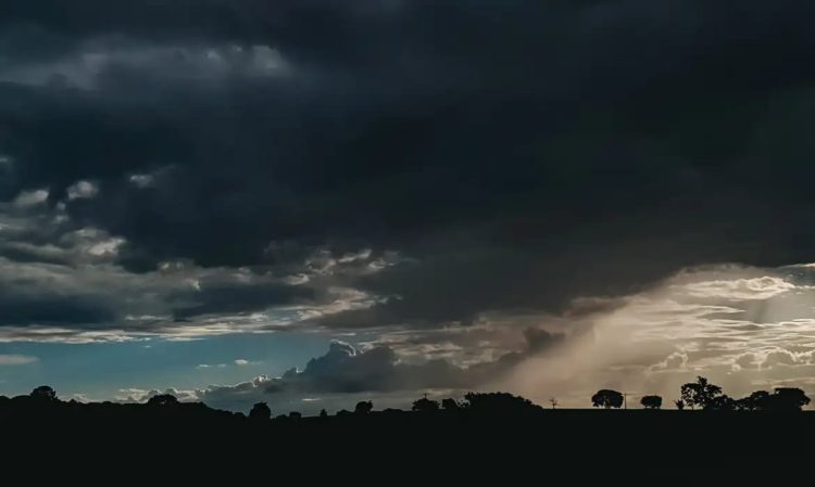 El Niño: no Sul, planejamento por microbacia hidrográfica ajuda a reduzir impactos do excesso de água El Niño: no Sul, planejamento por microbacia hidrográfica ajuda a reduzir impactos do excesso de água