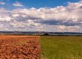 El Niño: plataforma reúne orientações para produtores rurais na safra 2026/2027
