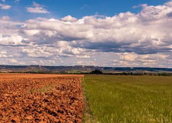 El Niño: plataforma reúne orientações para produtores rurais na safra 2026/2027