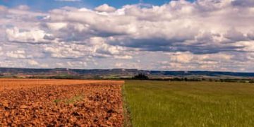 El Niño: plataforma reúne orientações para produtores rurais na safra 2026/2027 El Niño: plataforma reúne orientações para produtores rurais na safra 2026/2027
