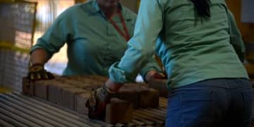 Exploração de minerais críticos gera mais de 129 mil empregos no Brasil Exploração de minerais críticos gera mais de 129 mil empregos no Brasil