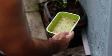 Quase metade dos municípios está em alerta ou risco para presença do Aedes aegypti