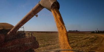 Seguro rural: nova lei proíbe bloqueio de recursos do subsídio federal Seguro rural: nova lei proíbe bloqueio de recursos do subsídio federal